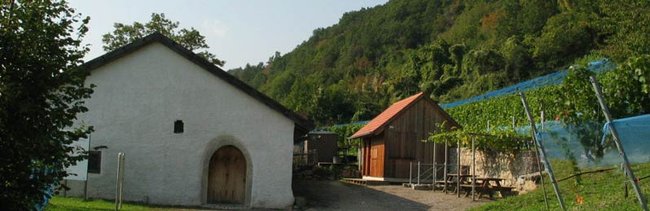 ../previews/050-A_Weinbaumuseum_02.jpeg.medium.jpeg