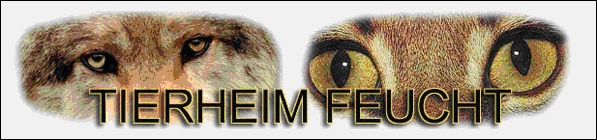Logo Tierheim Feucht